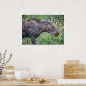 Moose Portret Poster (Keuken)