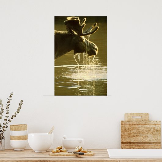 Moose Poster (Keuken)