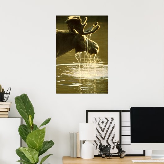 Moose Poster (Thuiskantoor)