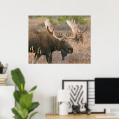 Moose Poster (Thuiskantoor)