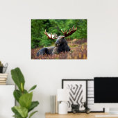 Moose Poster (Thuiskantoor)