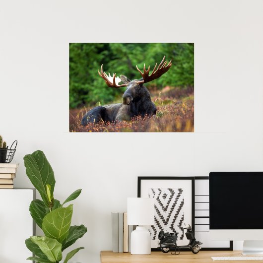 Moose Poster (Thuiskantoor)