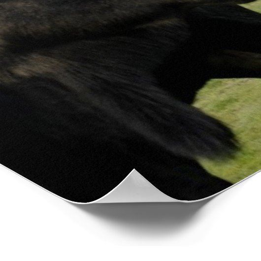 Moose Poster (Hoek)