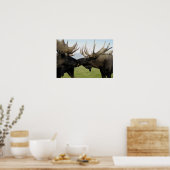 Moose Poster (Keuken)