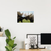 Moose Poster (Thuiskantoor)