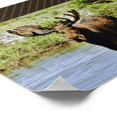 Moose Poster (Hoek)