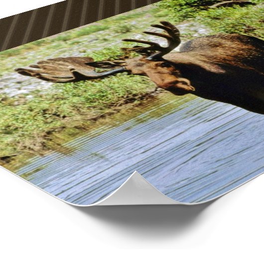 Moose Poster (Hoek)