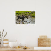 Moose Poster (Keuken)