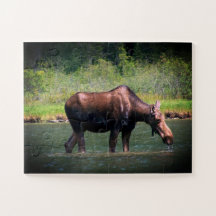 Moose Puzzle
