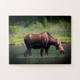 Moose Puzzle Legpuzzel