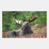Moose Rechthoekige Sticker (Voorkant)
