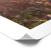 Moose Resting in Grass Poster (Hoek)