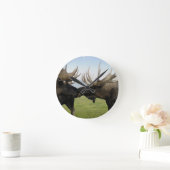 Moose Ronde Klok (Huis)