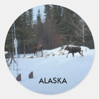 Moose Ronde Sticker