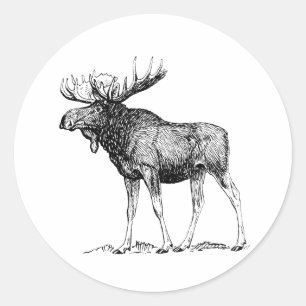 Moose Ronde Sticker
