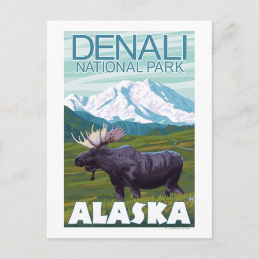 Moose Scene - Denali National Park, Alaska Briefkaart (Voorkant)