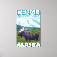 Moose Scene - Denali National Park, Alaska