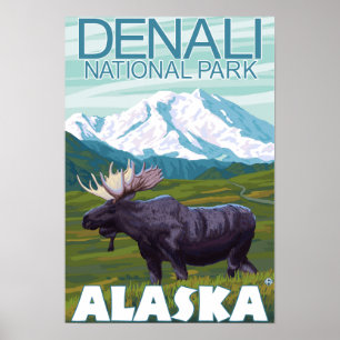 Moose Scene - Denali National Park, Alaska Poster