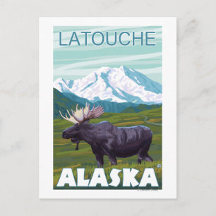 Moose Scene - Latouche, Alaska Briefkaart