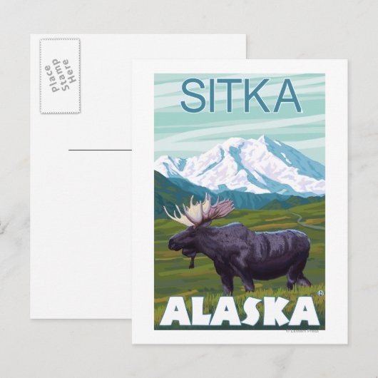 Moose Scene - Sitka, Alaska Briefkaart (Voorkant / Achterkant)