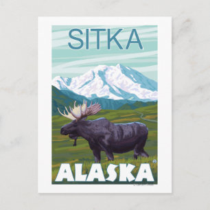 Moose Scene - Sitka, Alaska Briefkaart