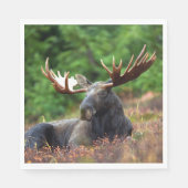 Moose Servet (Voorkant)