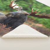 Moose Sherpa Deken (3/4)