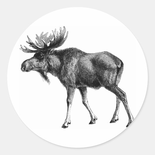 Moose Shirten en geschenken 112 Ronde Sticker (Voorkant)