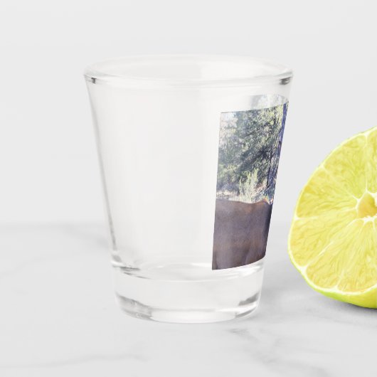 Moose Shot Glass Shot Glas (Links)