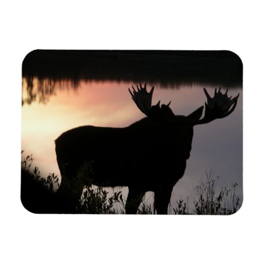 Moose silhouet magneet (Horizontaal)