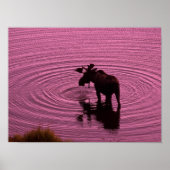 Moose Silhouette Poster (Voorkant)