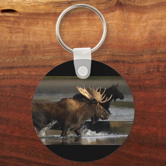Moose Sleutelhanger (Voorkant)