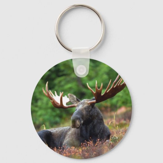 Moose Sleutelhanger (Voorkant)
