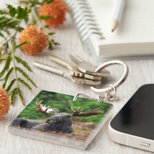 Moose Sleutelhanger (Voorkant Rechts)