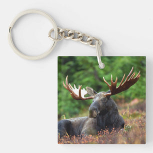 Moose Sleutelhanger