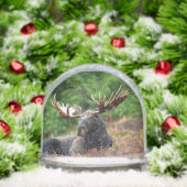 Moose Sneeuwbol (Kerstmis)