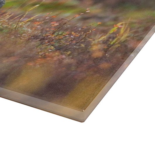 Moose Snijplank (Hoek)