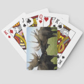Moose Speelkaarten (Achterkant)