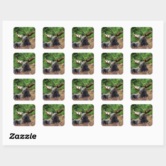 Moose Square Sticker (Vel)