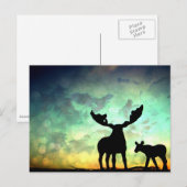 Moose Sunrise Briefkaart (Voorkant / Achterkant)