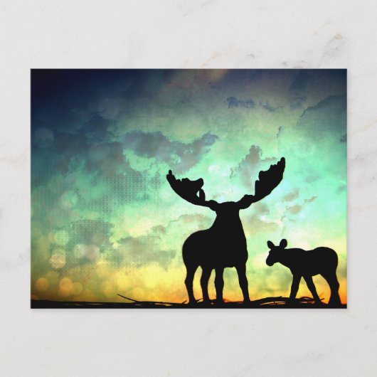 Moose Sunrise Briefkaart (Voorkant)