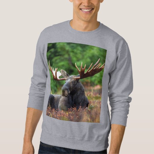 Moose Sweatshirt (Voorkant)