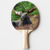 Moose Tafeltennisbatje (Achterkant)