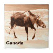 Moose Tegeltje (Voorkant)