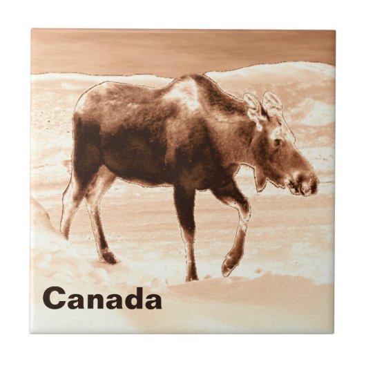 Moose Tegeltje (Voorkant)