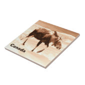 Moose Tegeltje (Zijkant)