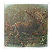 Moose Tegeltje (Voorkant)