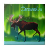 Moose Tegeltje (Voorkant)