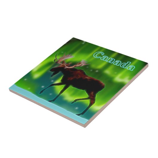 Moose Tegeltje (Zijkant)