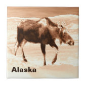 Moose Tegeltje (Voorkant)